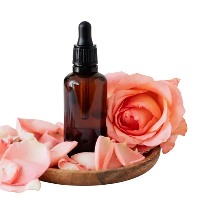 Reiki Course Fees in Surat